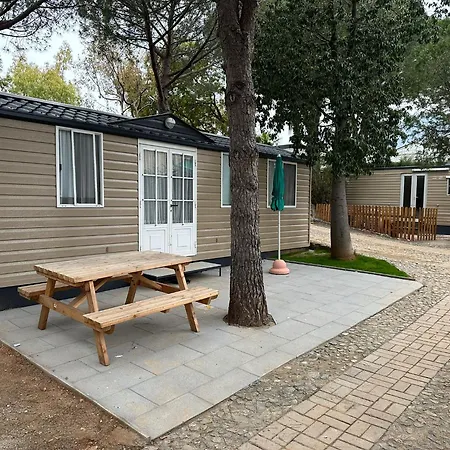 キャンプ場 Bella Vista